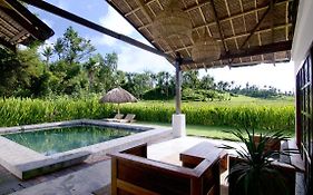 Secret Villa - Unique Experience